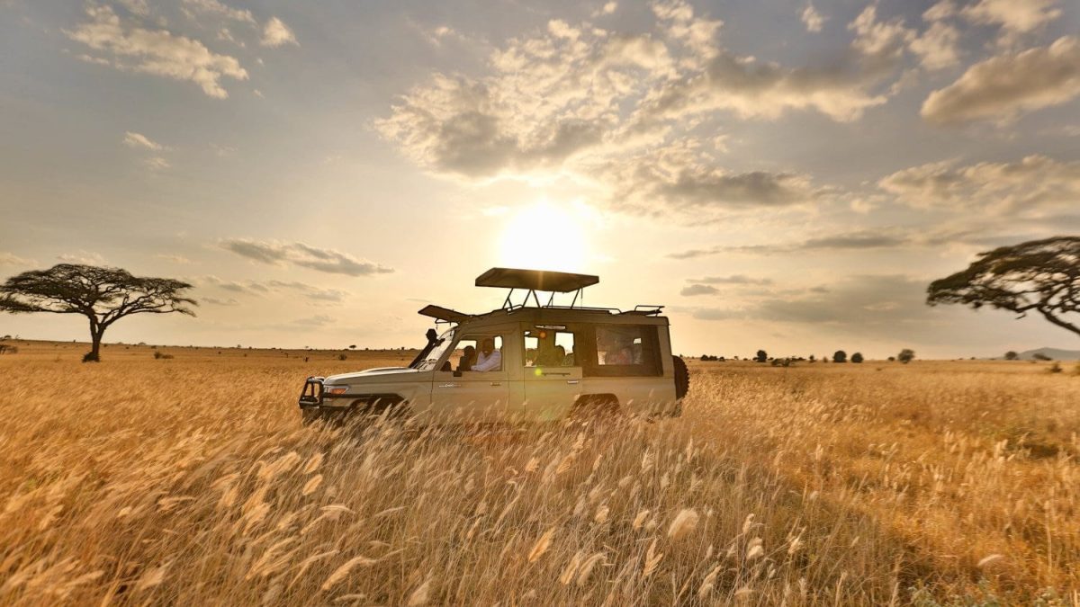 12 Days Uganda Safari tour