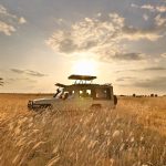 12 Days Uganda Safari tour
