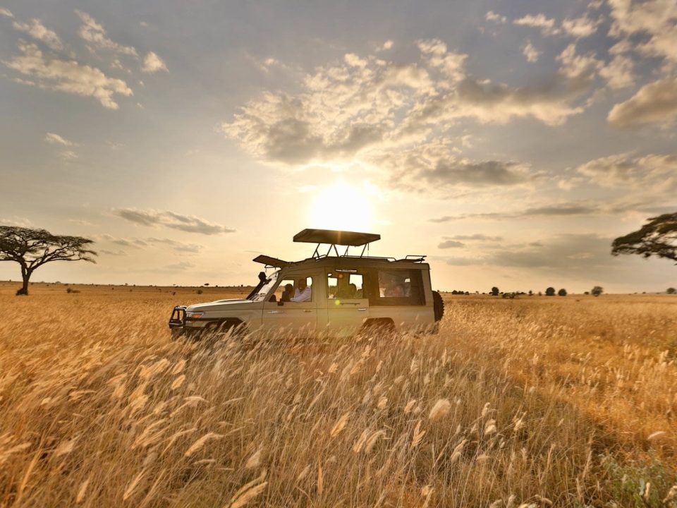 12 Days Uganda Safari tour