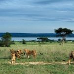 Uganda the pearl of Africa