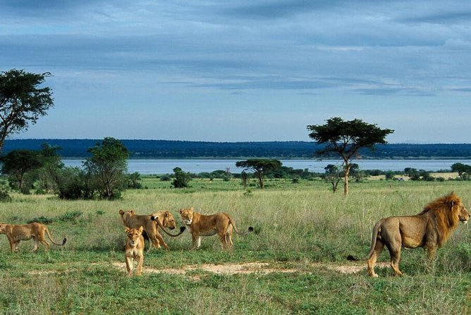 Uganda the pearl of Africa