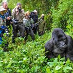 Emergency services in Bwindi