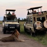 Game Drives in Murchison Falls