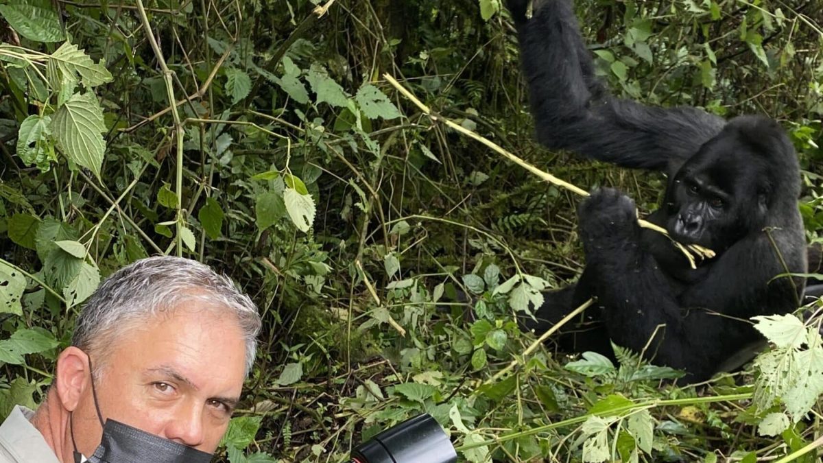 Is Bwindi National Park safe