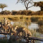 10 Day Footsteps of the Explorers