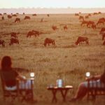 Honeymoon safari and Zanzibar beach