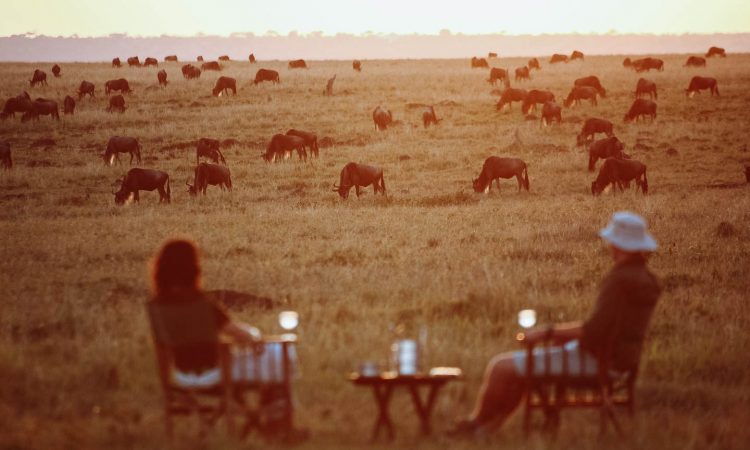 Honeymoon safari and Zanzibar beach