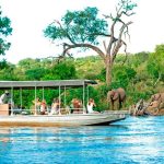 8 Day Botswana Green Safari