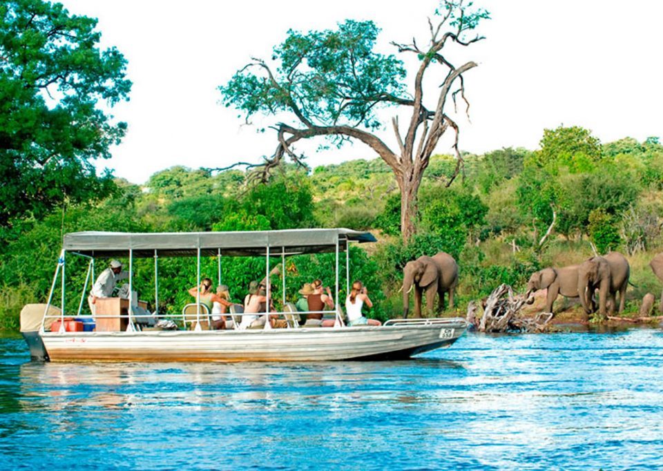 8 Day Botswana Green Safari