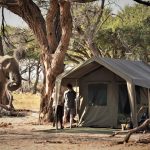 9 Day The Magic of Botswana