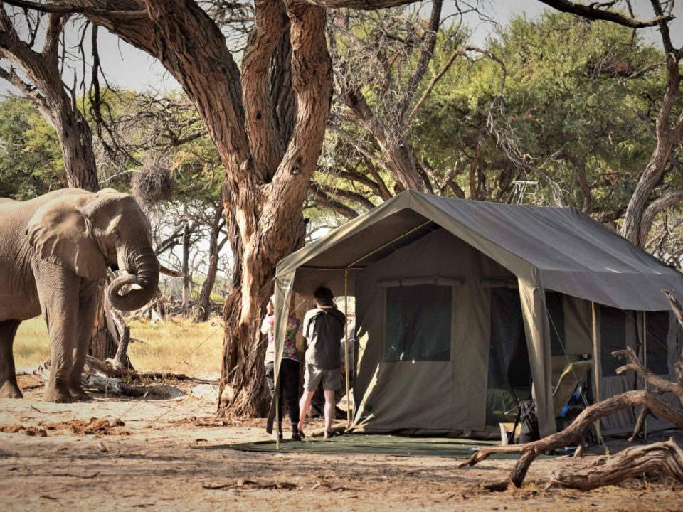 9 Day The Magic of Botswana