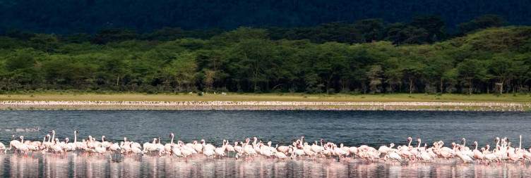 9-Day Once in a Lifetime Safari