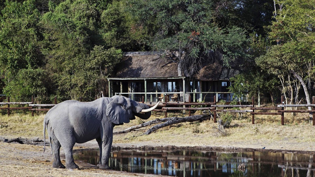11 Day Out of Africa