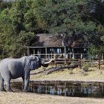 11 Day Out of Africa