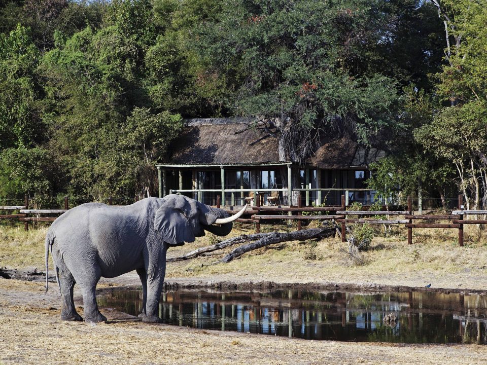 11 Day Out of Africa