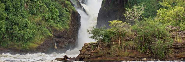 8-Day Uganda Safari with Gorillas