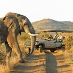 3 Day Botswana Safari