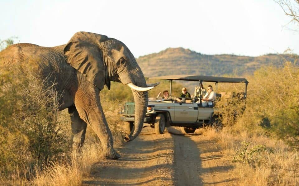 3 Day Botswana Safari