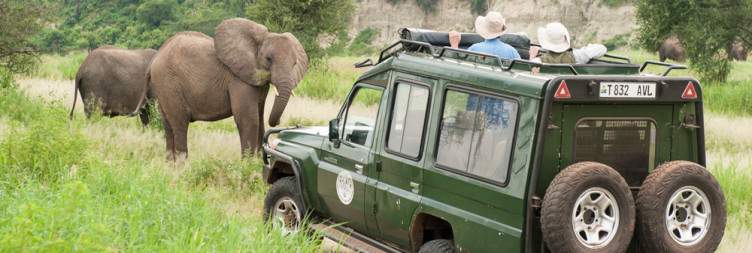 8-Day The Safari of a Lifetime