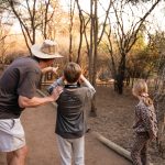 7 Days Botswana Family Safari