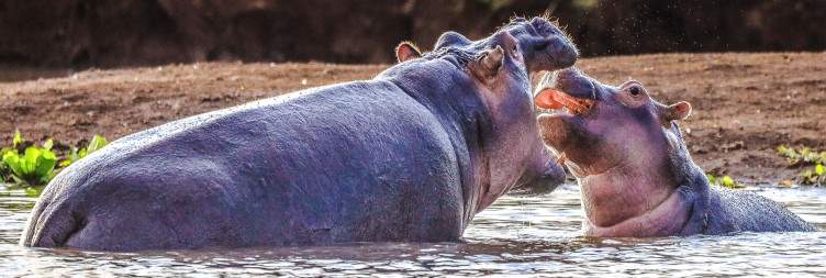 9-Day Once in a Lifetime Safari