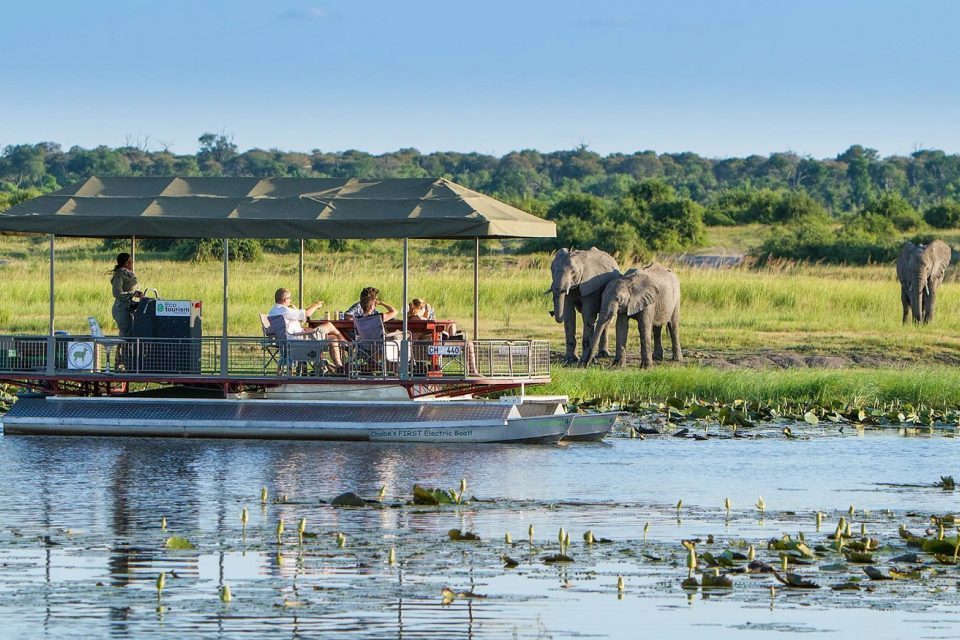 8 Days Botswana safari