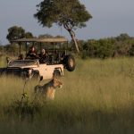 11 Day African Wildlife Adventure