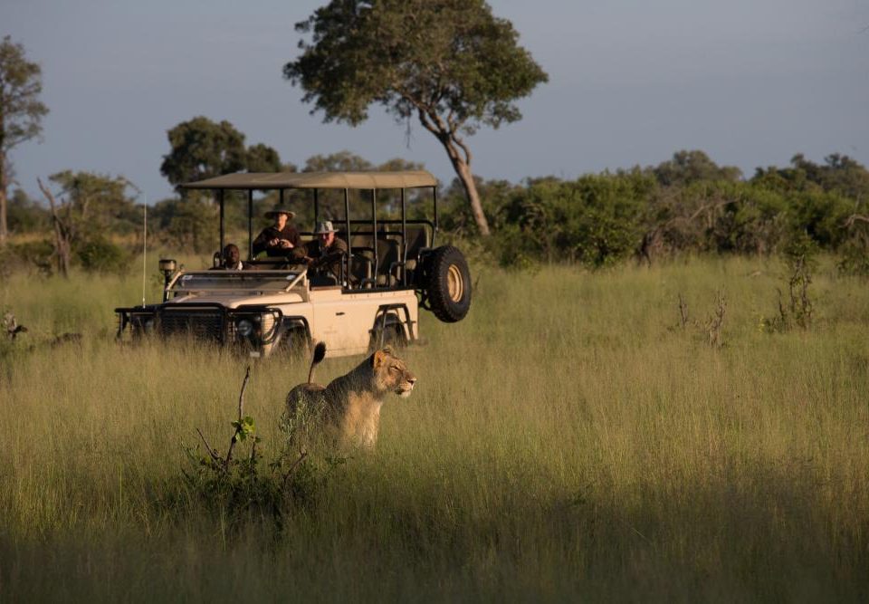 11 Day African Wildlife Adventure