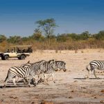7 Day Untamed Botswana Safari