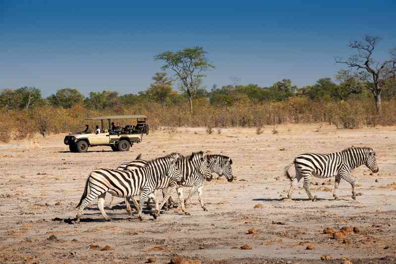 7 Day Untamed Botswana Safari