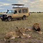 8-Day The Big-5 Uganda Tour