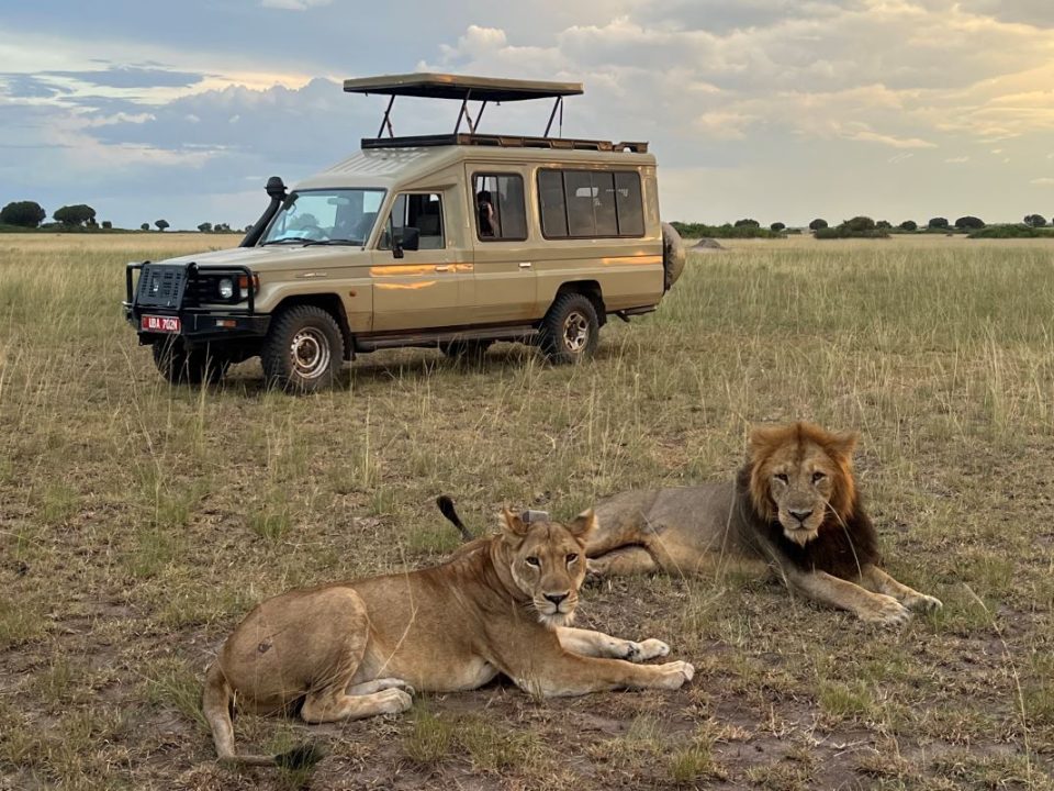 8-Day The Big-5 Uganda Tour