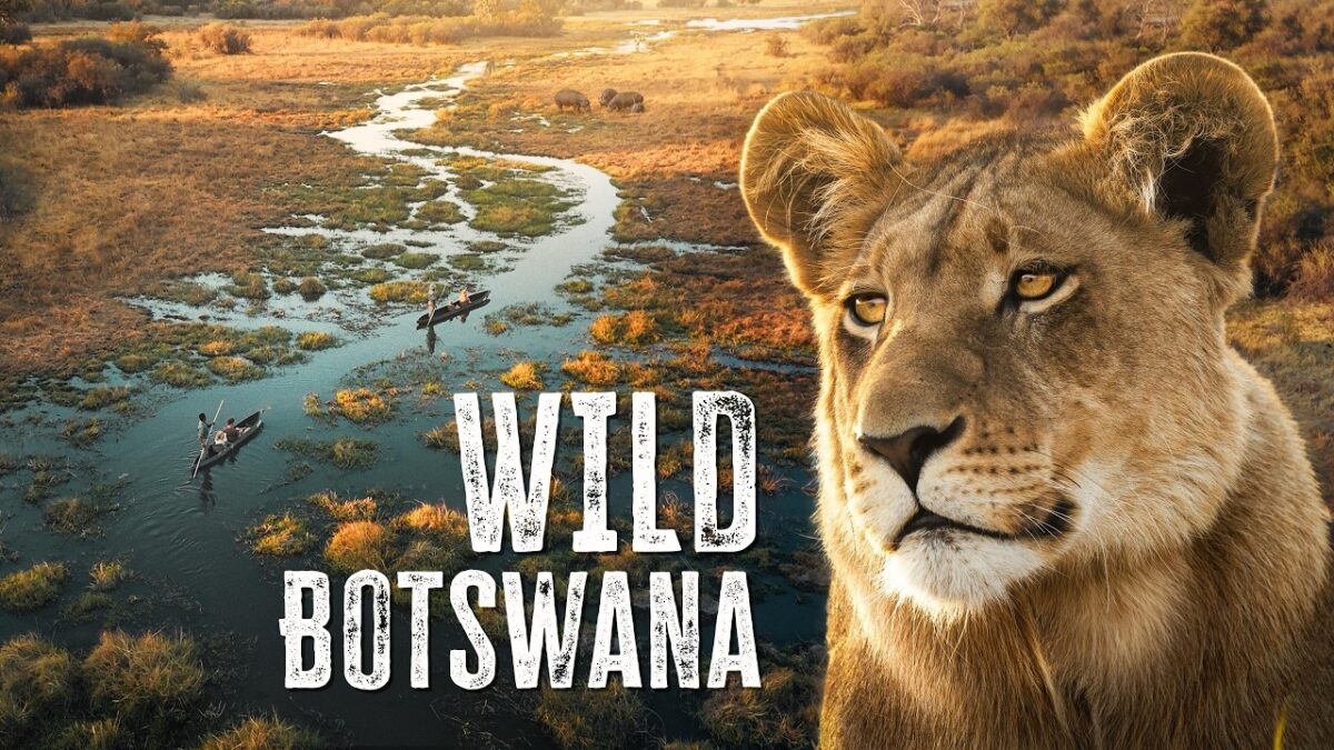 8 Days Botswana safari