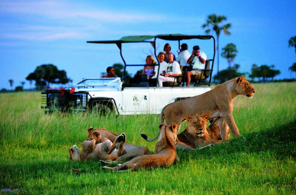 3-Day Moremi Game Reserve