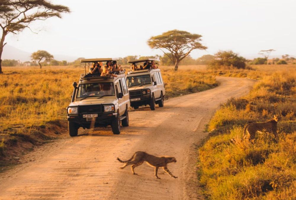 8-Day The Safari of a Lifetime