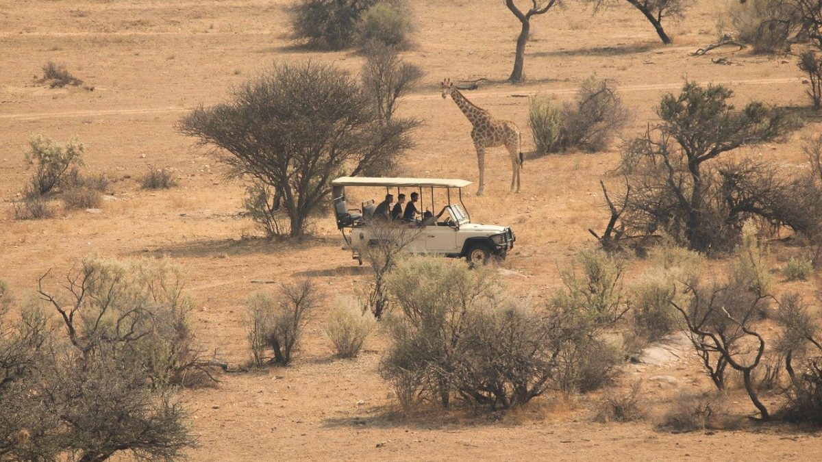 Ultimate Kenya Wildlife Safari