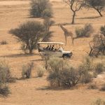 Ultimate Kenya Wildlife Safari