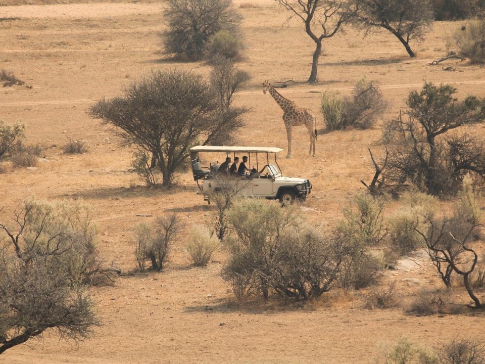 Ultimate Kenya Wildlife Safari