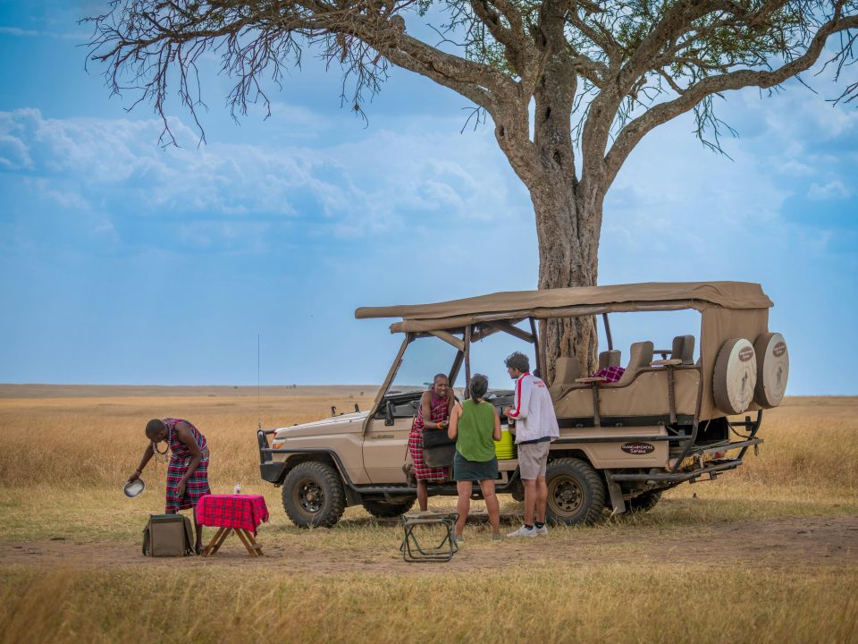 9-Day Luxury Big Kenya Safari From USA