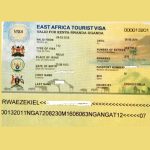 Visa Info For US Travellers To Africa