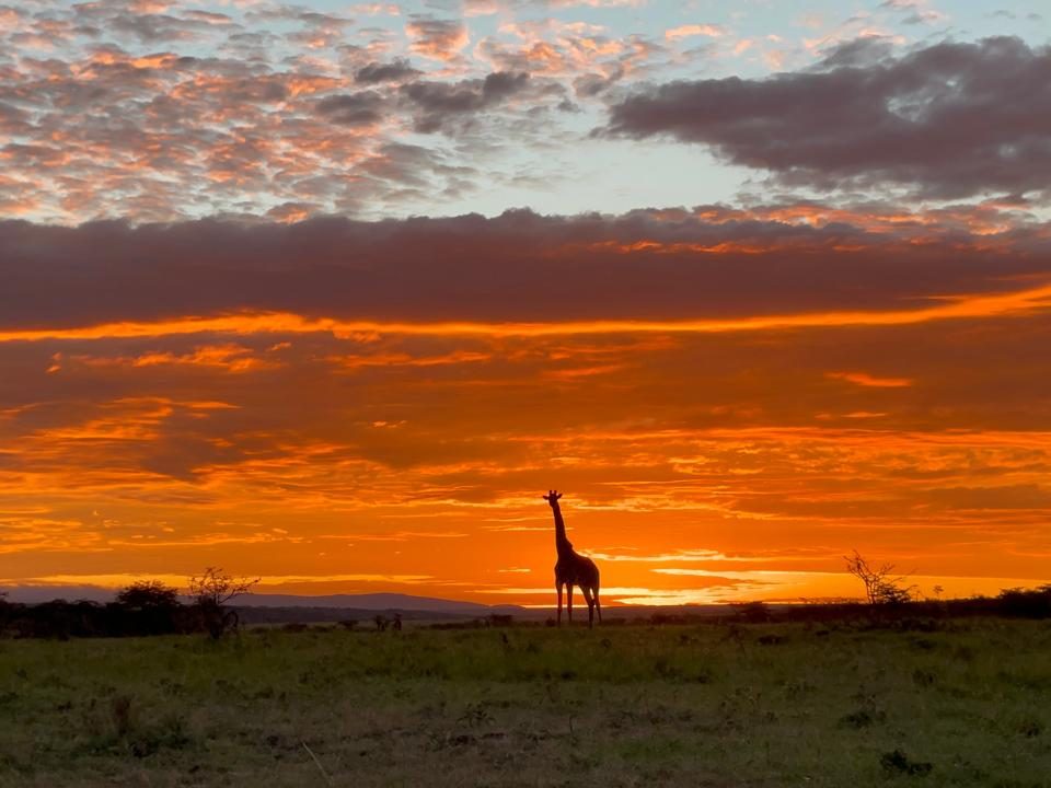 Kenya Classics Safari from the USA