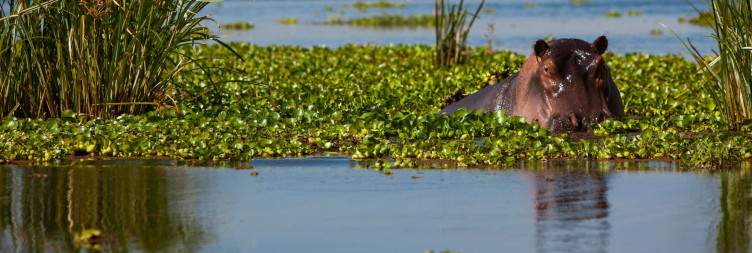 6-Day Ultimate Kenya Wildlife Safari