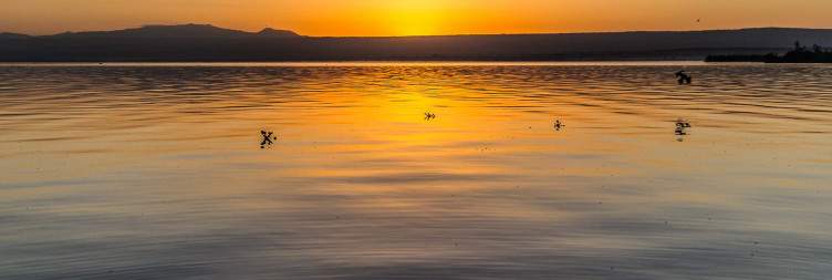 9-Day Luxury Big Kenya Safari From USA