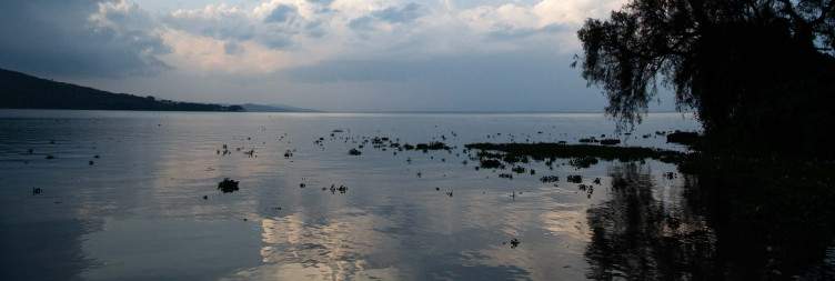 Magical Wildlife Tour From France