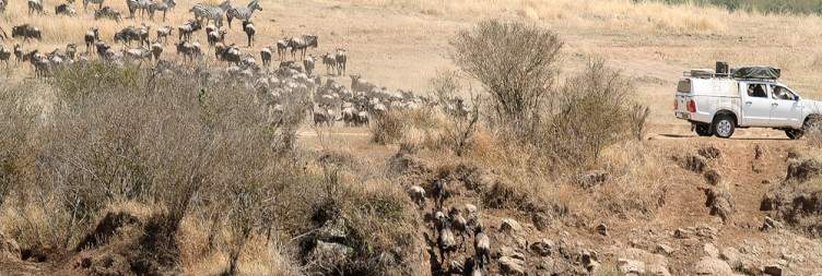 6-Day Ultimate Kenya Wildlife Safari