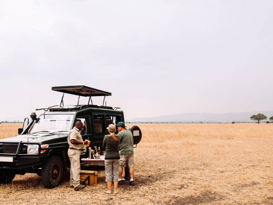 Kenya's Best Safari Parks