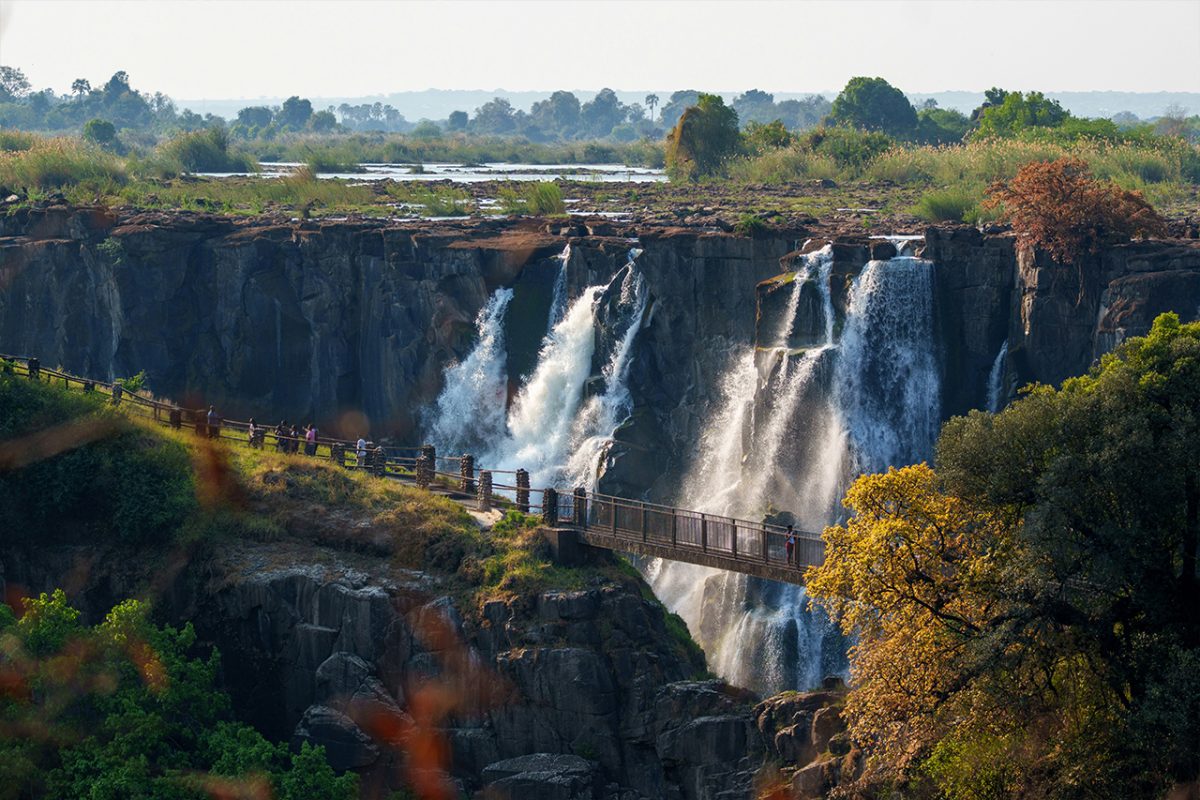 Victoria Falls & Uganda Tour