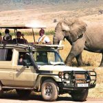 Top Reasons To Visit Tanzania