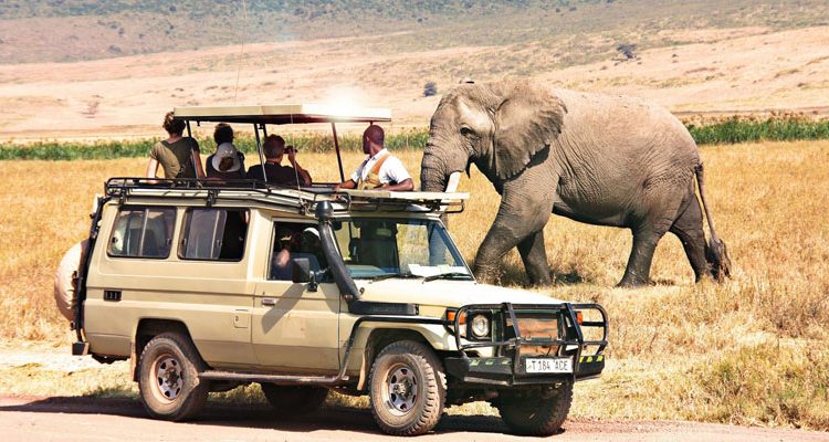 Top Reasons To Visit Tanzania