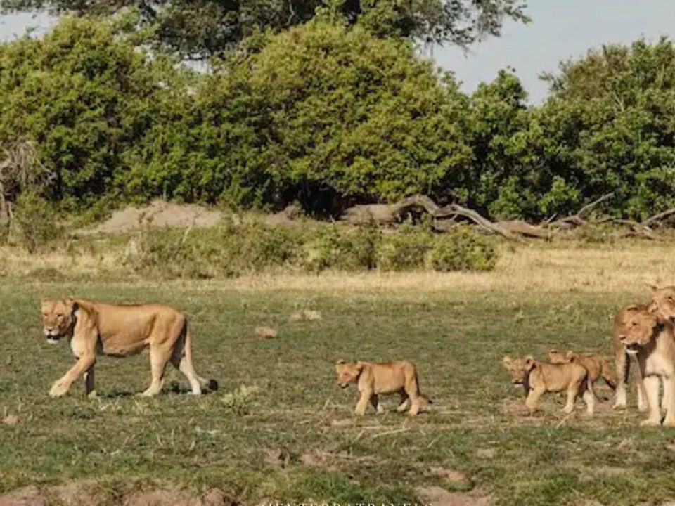 Are Botswana and Uganda Safe for Tourists